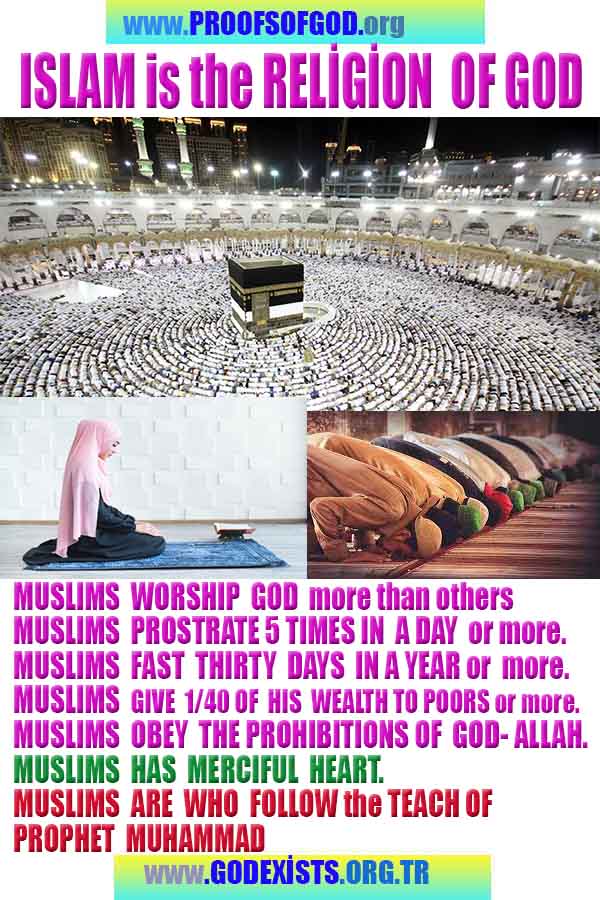 proofs of god, evidences of god, god-proofs, god-signs, god-evidences, god exists, god-real, god is real,ईश्वर के प्रमाण, ईश्वर के प्रमाण, ईश्वर के लक्षण, प्रमाण-ईश्वर, प्रमाण-ईश्वर, ईश्वर वास्तविक है, ईश्वर का अस्तित्व है, @भगवान, #भगवान 